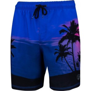 Falcon - Dray - Zwemshort - Heren - Blauw met Palmbomen